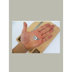 Pergue Board